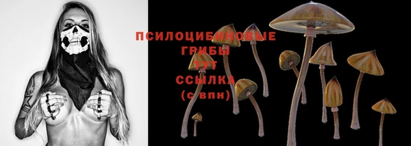 метадон Армянск