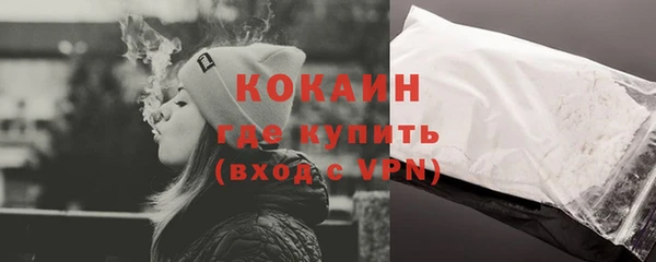 гашик Аркадак