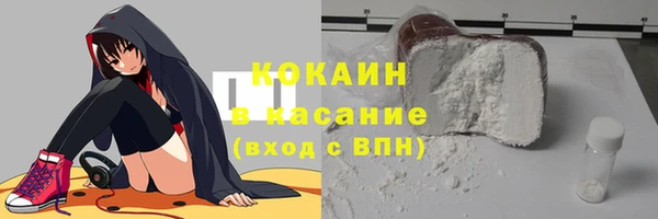 гашик Аркадак