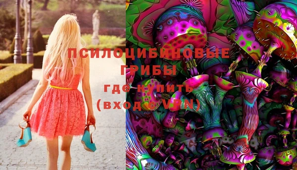 гашик Аркадак