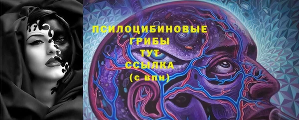 гашик Аркадак