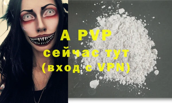 гашик Аркадак