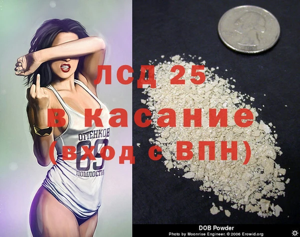 гашик Аркадак