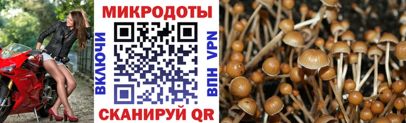 цены наркотик  Родники  Галлюциногенные грибы прущие грибы 
